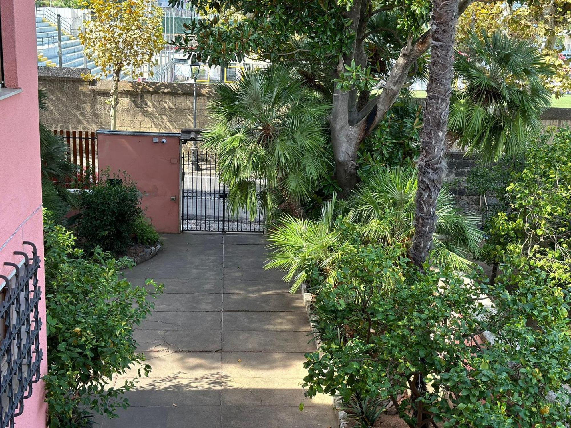 Villa Rosa Sorrento Dış mekan fotoğraf