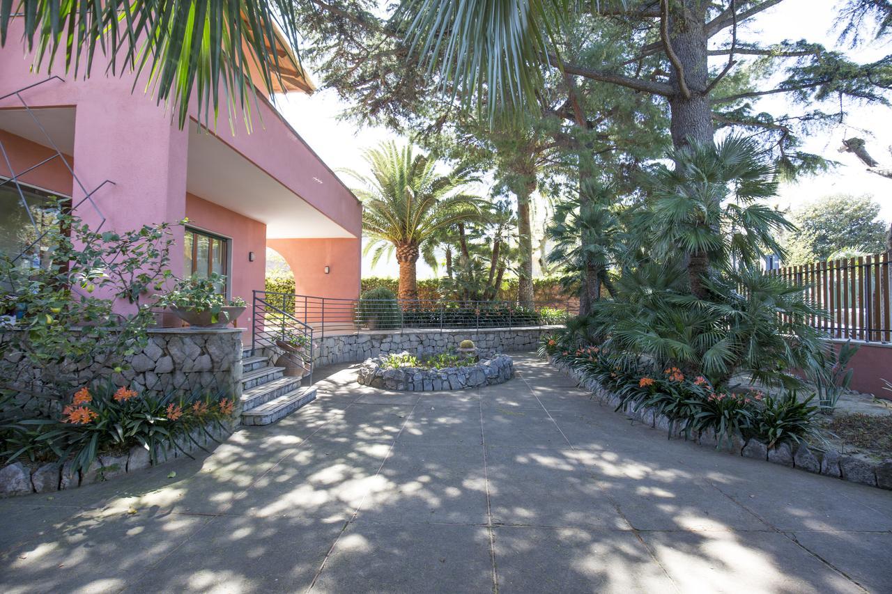 Villa Rosa Sorrento Dış mekan fotoğraf